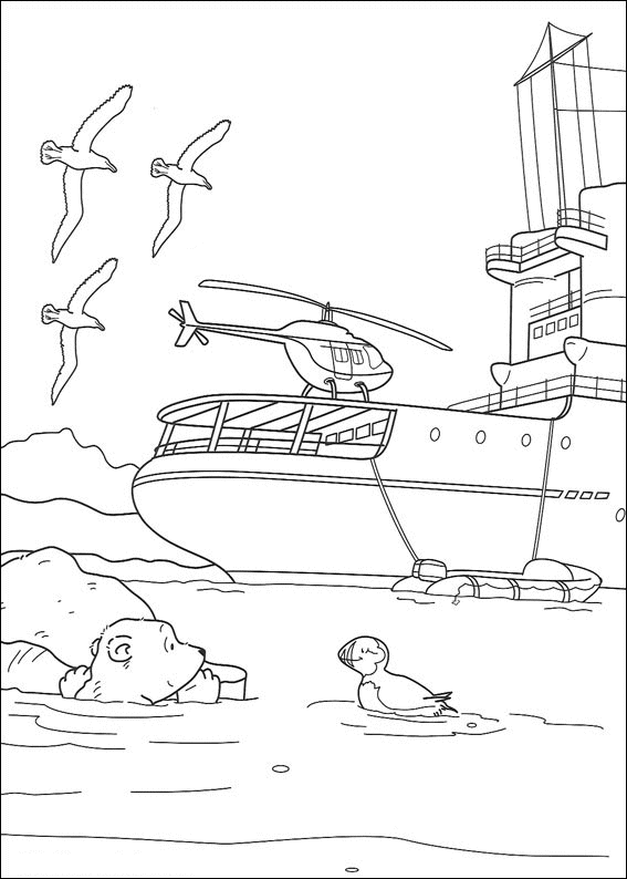 Disegno 10 Piuma orso polare