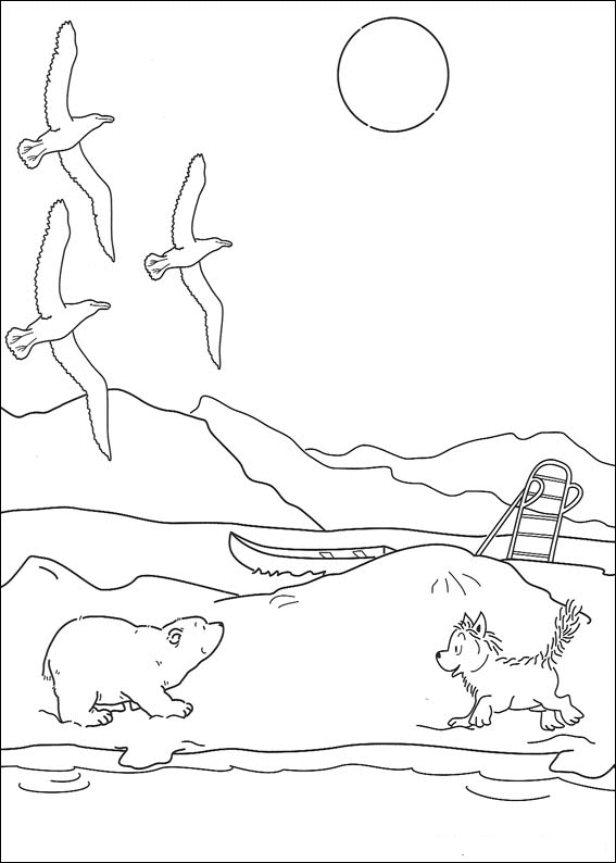 Disegno 19 Piuma orso polare