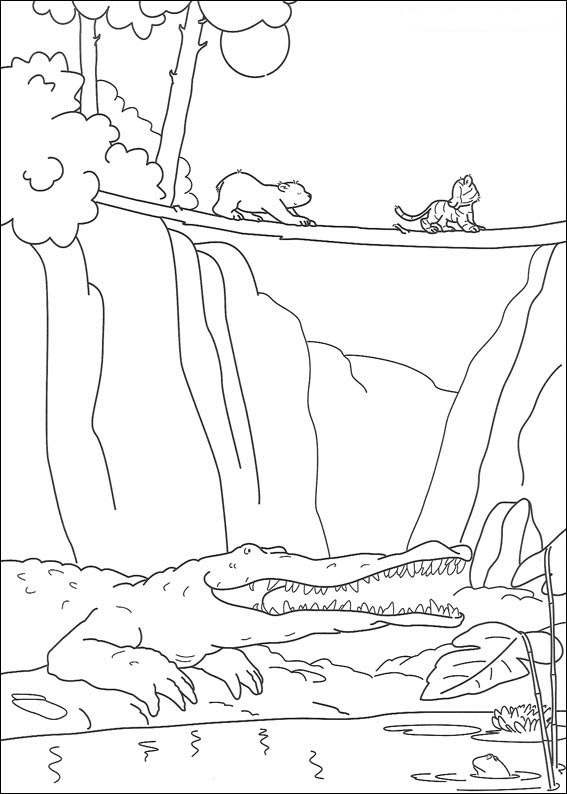 Disegno 2 Piuma orso polare