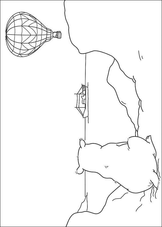 Disegno 22 Piuma orso polare