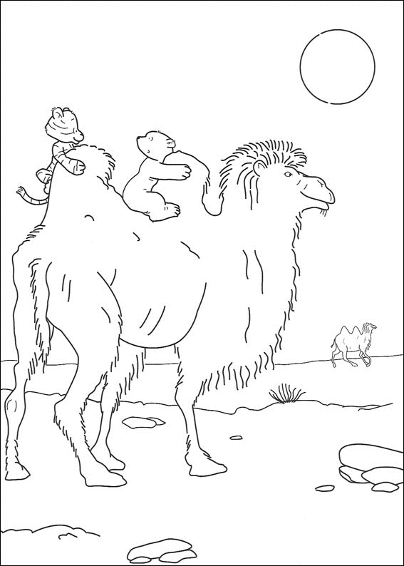 Disegno 3 Piuma orso polare