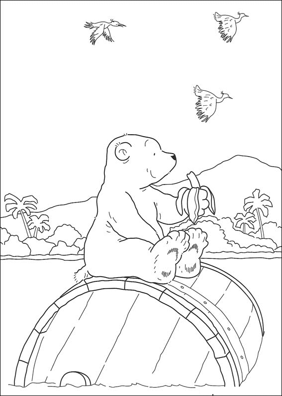 Disegno 5 Piuma orso polare