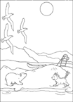 Disegno 19 Piuma orso polare
