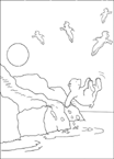 Disegno 21 Piuma orso polare