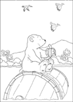 Disegno 5 Piuma orso polare