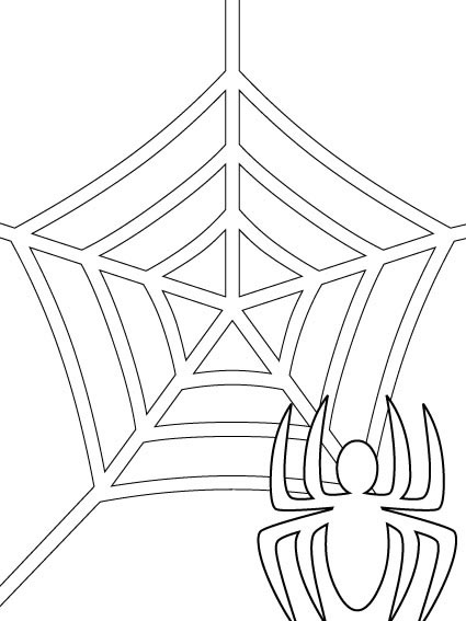 Disegno 6 Ragni