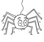 Disegno 3 Ragni