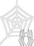 Disegno 6 Ragni