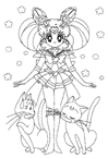 Disegno 137 Sailor moon