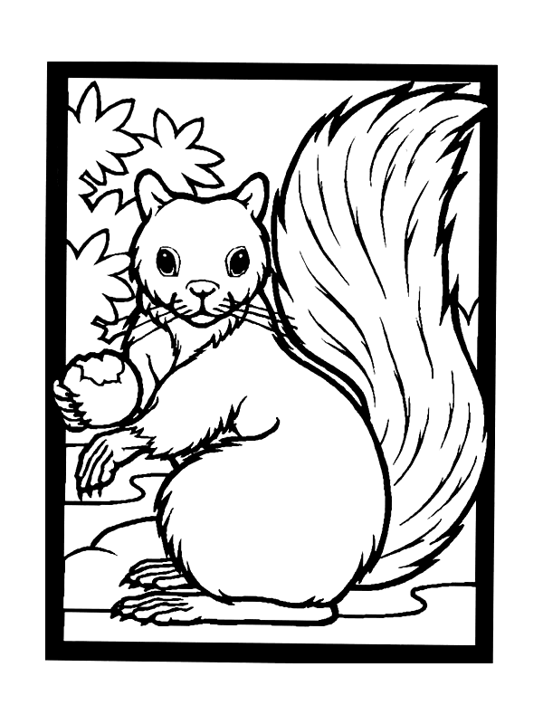 Disegno 33 Scoiattolo
