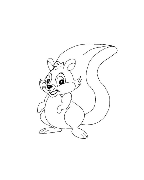 Disegno 5 Scoiattolo