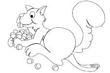 Disegno 14 Scoiattolo