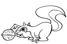 Disegno 17 Scoiattolo