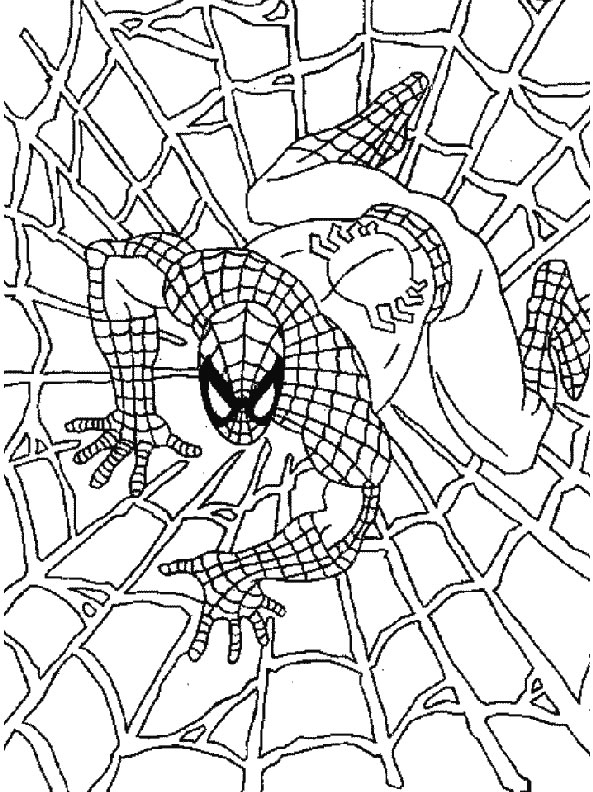 Disegno 29 Spiderman
