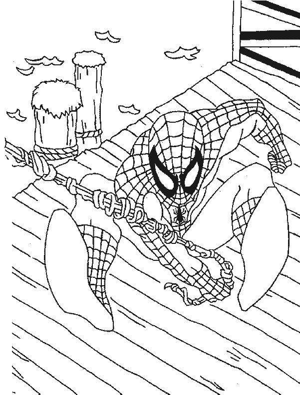 Disegno 72 Spiderman