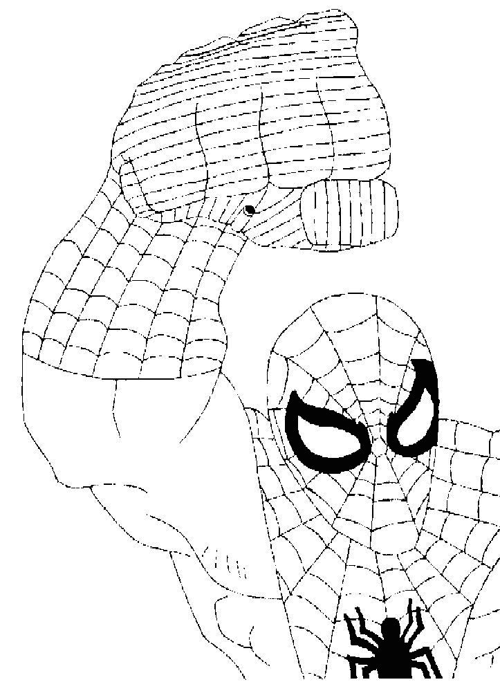 Disegno 8 Spiderman