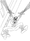 Disegno 13 Spiderman