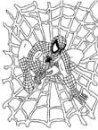 Disegno 32 Spiderman