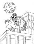 Disegno 48 Spiderman