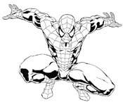 Disegno 55 Spiderman