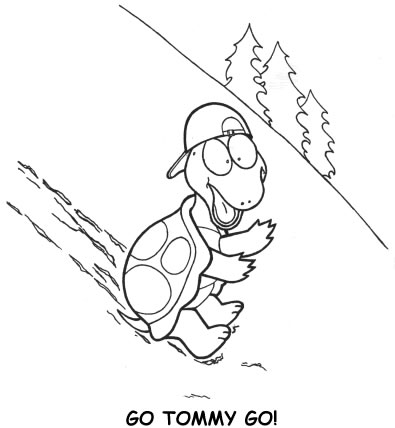 Disegno 36 Tartarughe