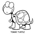 Disegno 1 Tartarughe