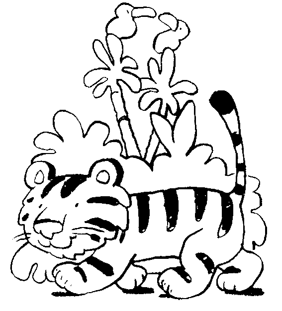 Disegno 12 Tigri