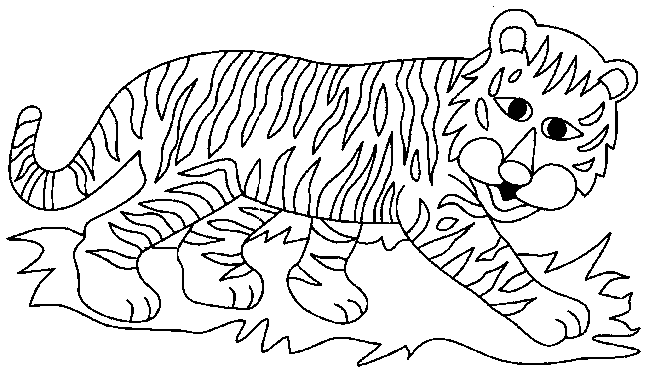 Disegno 3 Tigri