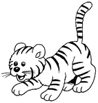 Disegno 11 Tigri