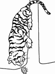 Disegno 23 Tigri