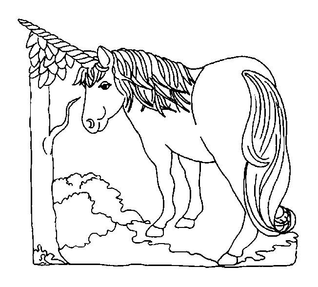 Disegno 13 Unicorno