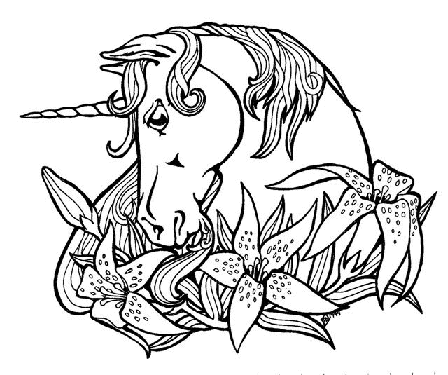 Disegno 18 Unicorno