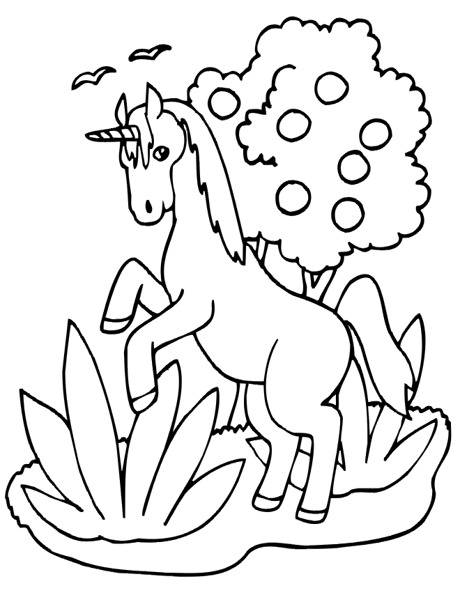 Disegno 33 Unicorno