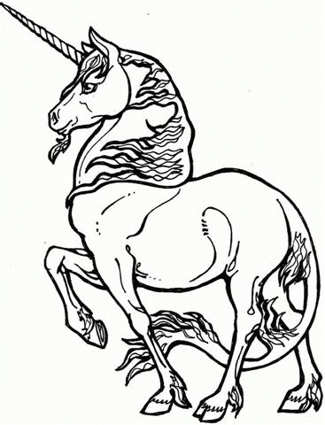 Disegno 49 Unicorno