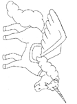 Disegno 15 Unicorno