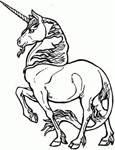 Disegno 6 Unicorno