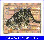 Lesley Anne Ivory - schemi e link-lesley-ivory-cats-jpg