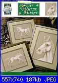 True Colors -  schemi e link-true-colors-bcl-10128-great-white-horse-jpg