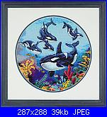 Dimensions - Schemi e link-dimensions-35047-circle-whales-jpg