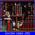 Dimensions - Schemi e link-35048-frederick-literate-cat-jpg