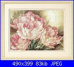 Dimensions - Schemi e link-dimensions-35175-tuliptrio-jpg