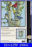 Dimensions - Schemi e link-dimensions-35252-birch-tree-birds-jpg