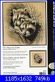 Dimensions - Schemi e link-dimensions-35253-two-racoon-cubs-jpg