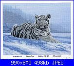 Anchor - Maia - schemi e link-anchor-maia-01011-siberian-tiger-jpg