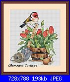 Svetlana Sichkar - schemi e link-cover-jpg