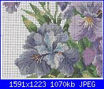 Iris*( Vedi FIORI ) - schemi e link-1071-3-jpg