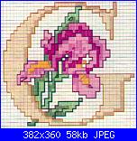 Alfabeti  fiori ( Vedi ALFABETI ) - schemi e link-g-jpg