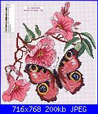 Fiori, fiori, fiori - schemi e link-mariposa_rosa-jpg