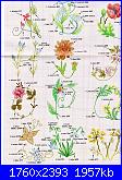 Alfabeti  fiori ( Vedi ALFABETI ) - schemi e link-img152-jpg