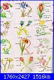 Alfabeti  fiori ( Vedi ALFABETI ) - schemi e link-img156-jpg